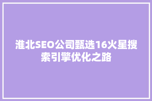 淮北SEO公司甄选16火星搜索引擎优化之路