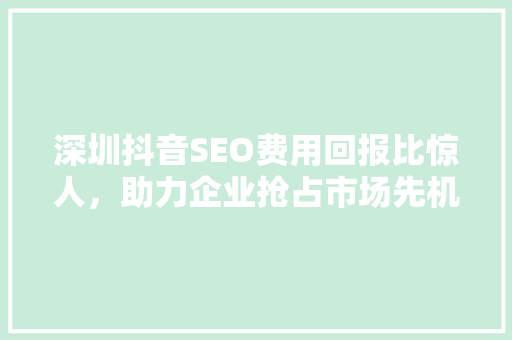 深圳抖音SEO费用回报比惊人，助力企业抢占市场先机