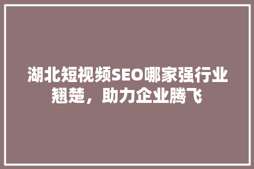 湖北短视频SEO哪家强行业翘楚，助力企业腾飞