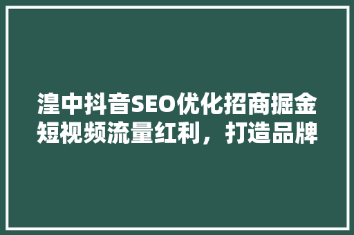 湟中抖音SEO优化招商掘金短视频流量红利，打造品牌新引擎