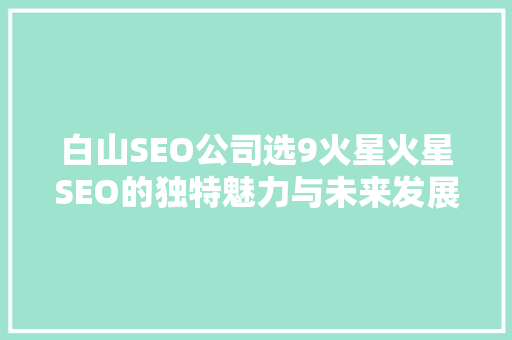 白山SEO公司选9火星火星SEO的独特魅力与未来发展