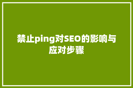 禁止ping对SEO的影响与应对步骤