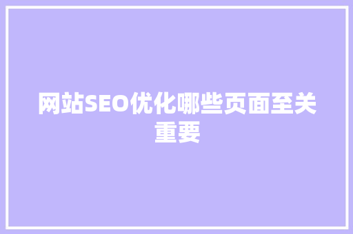 网站SEO优化哪些页面至关重要