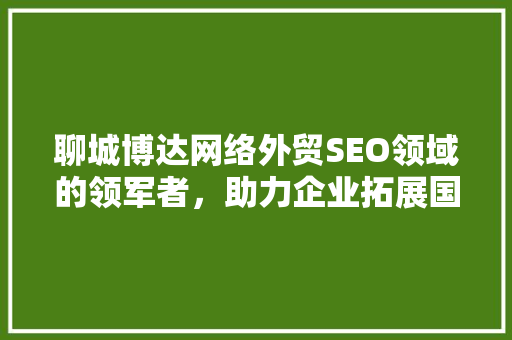 聊城博达网络外贸SEO领域的领军者，助力企业拓展国际市场
