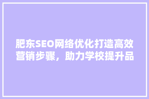 肥东SEO网络优化打造高效营销步骤，助力学校提升品牌影响力