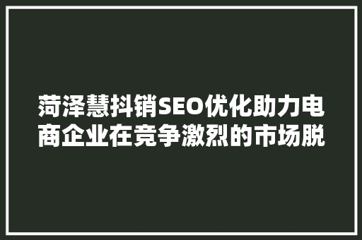 菏泽慧抖销SEO优化助力电商企业在竞争激烈的市场脱颖而出