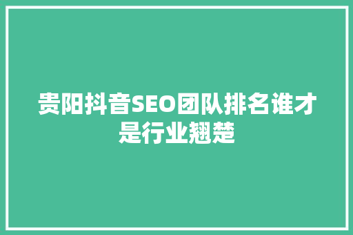 贵阳抖音SEO团队排名谁才是行业翘楚