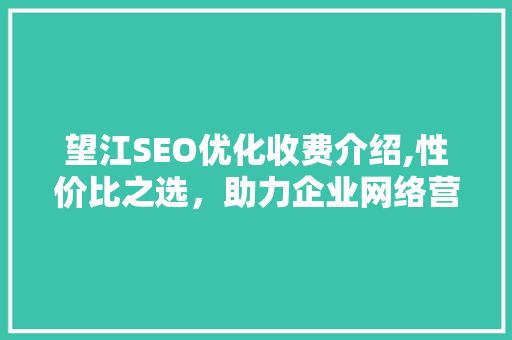 望江SEO优化收费介绍,性价比之选，助力企业网络营销