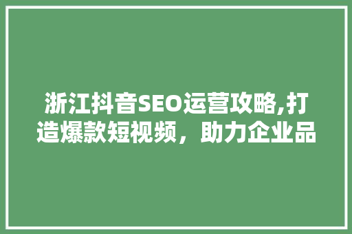 浙江抖音SEO运营攻略,打造爆款短视频,助力企业品牌腾飞
