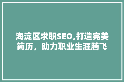 海淀区求职SEO,打造完美简历，助力职业生涯腾飞