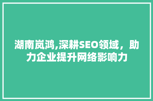 湖南岚鸿,深耕SEO领域，助力企业提升网络影响力