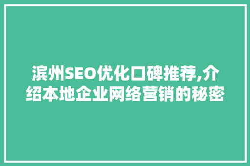 滨州SEO优化口碑推荐,介绍本地企业网络营销的秘密武器