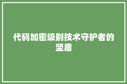 代码加密级别技术守护者的坚盾