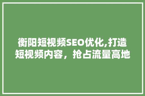 衡阳短视频SEO优化,打造短视频内容，抢占流量高地