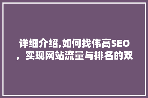 详细介绍,如何找伟高SEO，实现网站流量与排名的双赢