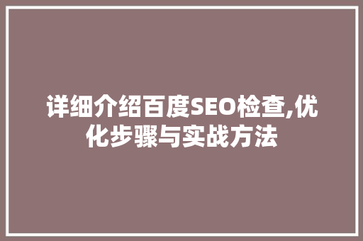 详细介绍百度SEO检查,优化步骤与实战方法