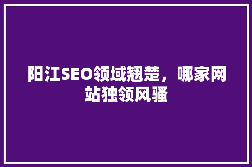阳江SEO领域翘楚，哪家网站独领风骚