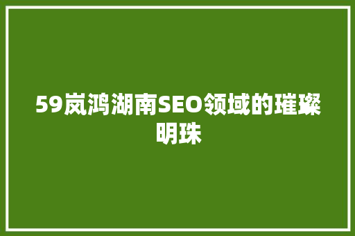 59岚鸿湖南SEO领域的璀璨明珠