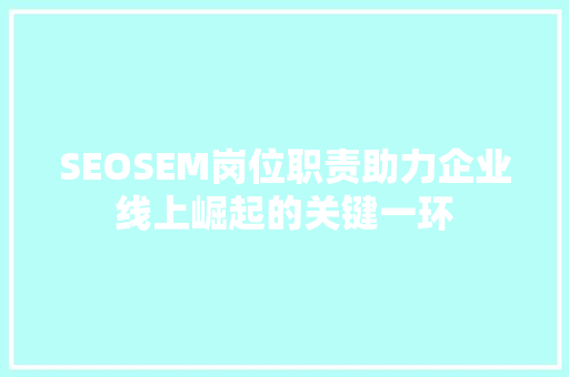 SEOSEM岗位职责助力企业线上崛起的关键一环