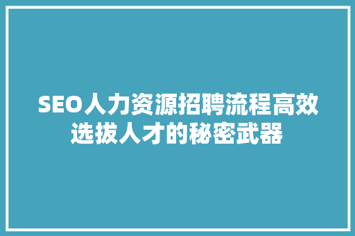 SEO人力资源招聘流程高效选拔人才的秘密武器