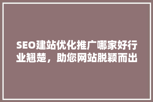 SEO建站优化推广哪家好行业翘楚，助您网站脱颖而出