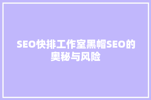 SEO快排工作室黑帽SEO的奥秘与风险