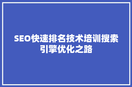 SEO快速排名技术培训搜索引擎优化之路