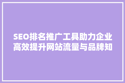 SEO排名推广工具助力企业高效提升网站流量与品牌知名度