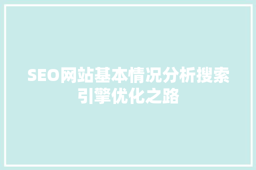 SEO网站基本情况分析搜索引擎优化之路