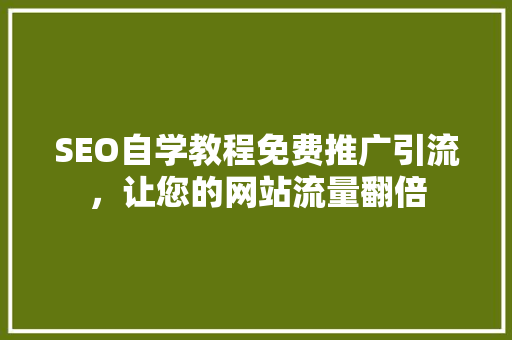 SEO自学教程免费推广引流，让您的网站流量翻倍
