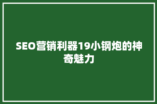 SEO营销利器19小钢炮的神奇魅力  第1张