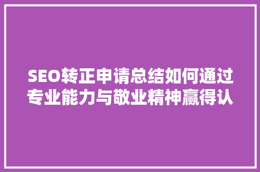 SEO转正申请总结如何通过专业能力与敬业精神赢得认可