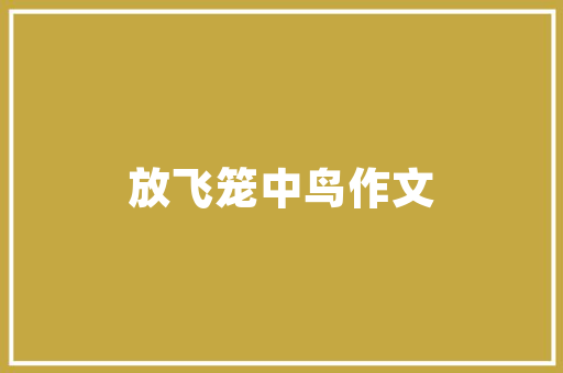分屏敲代码高效编程的革新之路