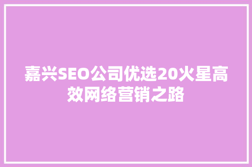 嘉兴SEO公司优选20火星高效网络营销之路