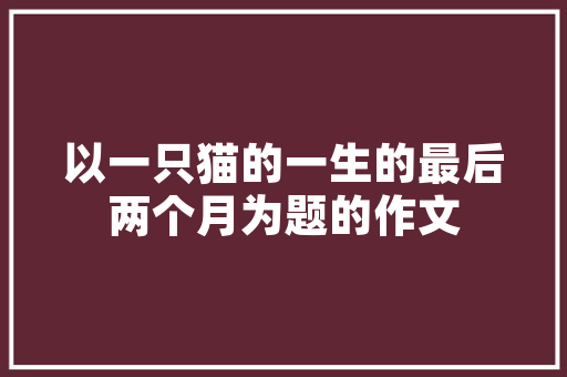 分母一个不可忽视的数学概念