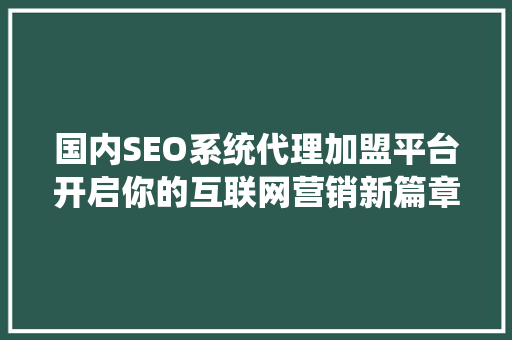 国内SEO系统代理加盟平台开启你的互联网营销新篇章