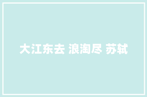 安阳SEO万词霸屏价格价比之选，助力企业快速崛起