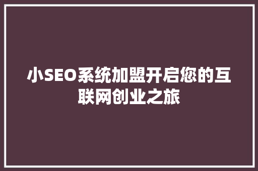 小SEO系统加盟开启您的互联网创业之旅