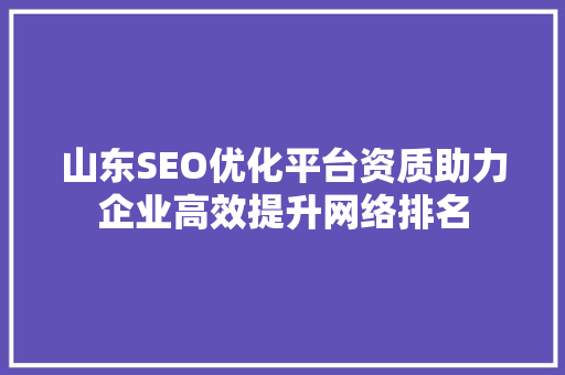 山东SEO优化平台资质助力企业高效提升网络排名