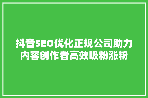 抖音SEO优化正规公司助力内容创作者高效吸粉涨粉