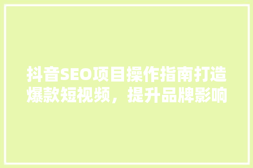抖音SEO项目操作指南打造爆款短视频，提升品牌影响力