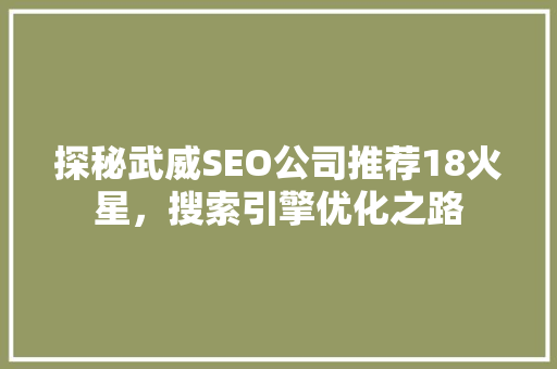 探秘武威SEO公司推荐18火星，搜索引擎优化之路