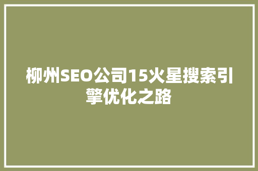 柳州SEO公司15火星搜索引擎优化之路