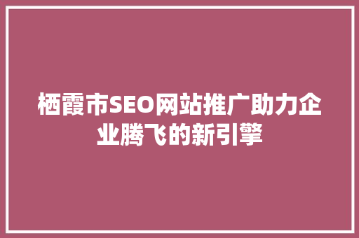 栖霞市SEO网站推广助力企业腾飞的新引擎