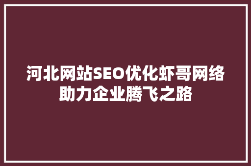 河北网站SEO优化虾哥网络助力企业腾飞之路