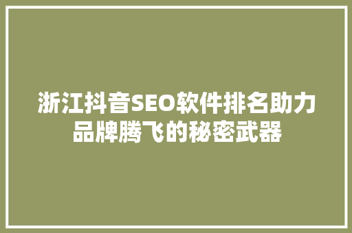 浙江抖音SEO软件排名助力品牌腾飞的秘密武器