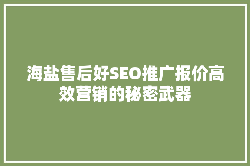 海盐售后好SEO推广报价高效营销的秘密武器
