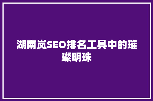 湖南岚SEO排名工具中的璀璨明珠