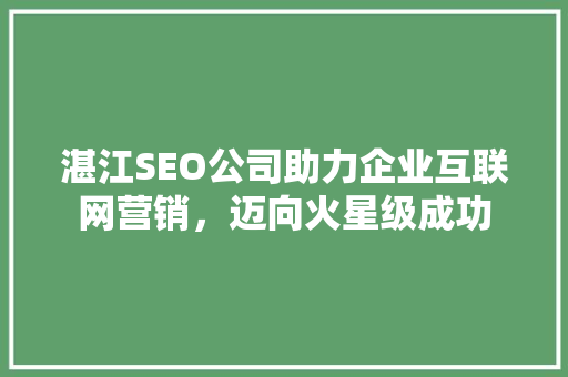 湛江SEO公司助力企业互联网营销，迈向火星级成功