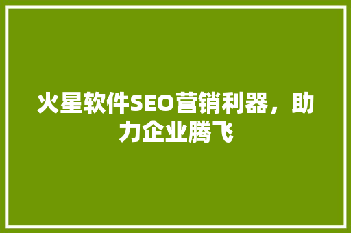 火星软件SEO营销利器，助力企业腾飞